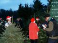 Weihnachtliches Tannenbaumschlagen