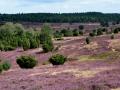 Zwei-Tagestour in die Lüneburger Heide