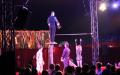 Weihnachtsfeier-Circus