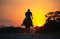 Wild Wild West