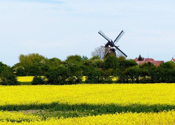 ganzjährig-Fehmarn